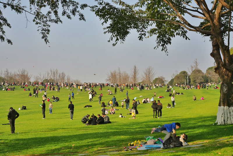 重慶中央公園，市民在草坪上曬太陽、放風(fēng)箏。重慶日?qǐng)?bào).jpg